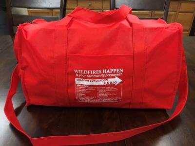 Go Bag (002).jpg