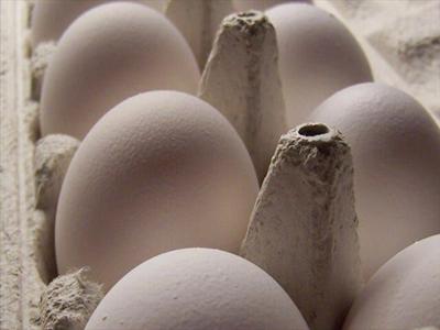 Egg Prices Could Impact Restaurants