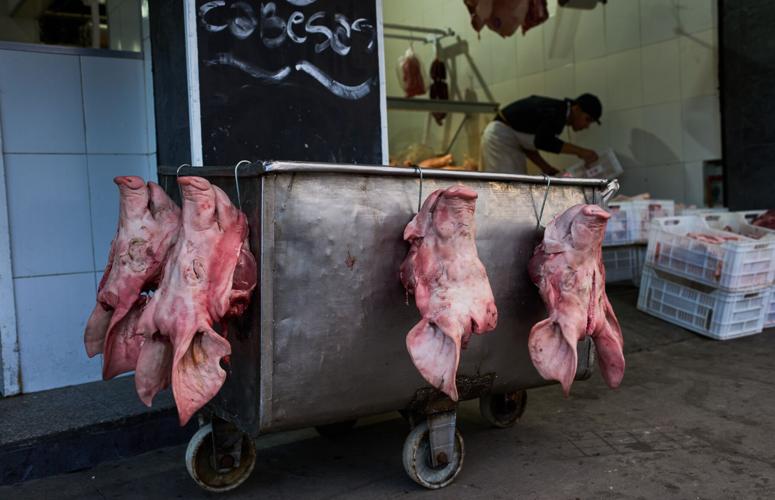 Argentina Meat