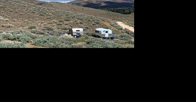 Fuel Reduction Project with Sheep Returns to Carson City - Vimarsana News