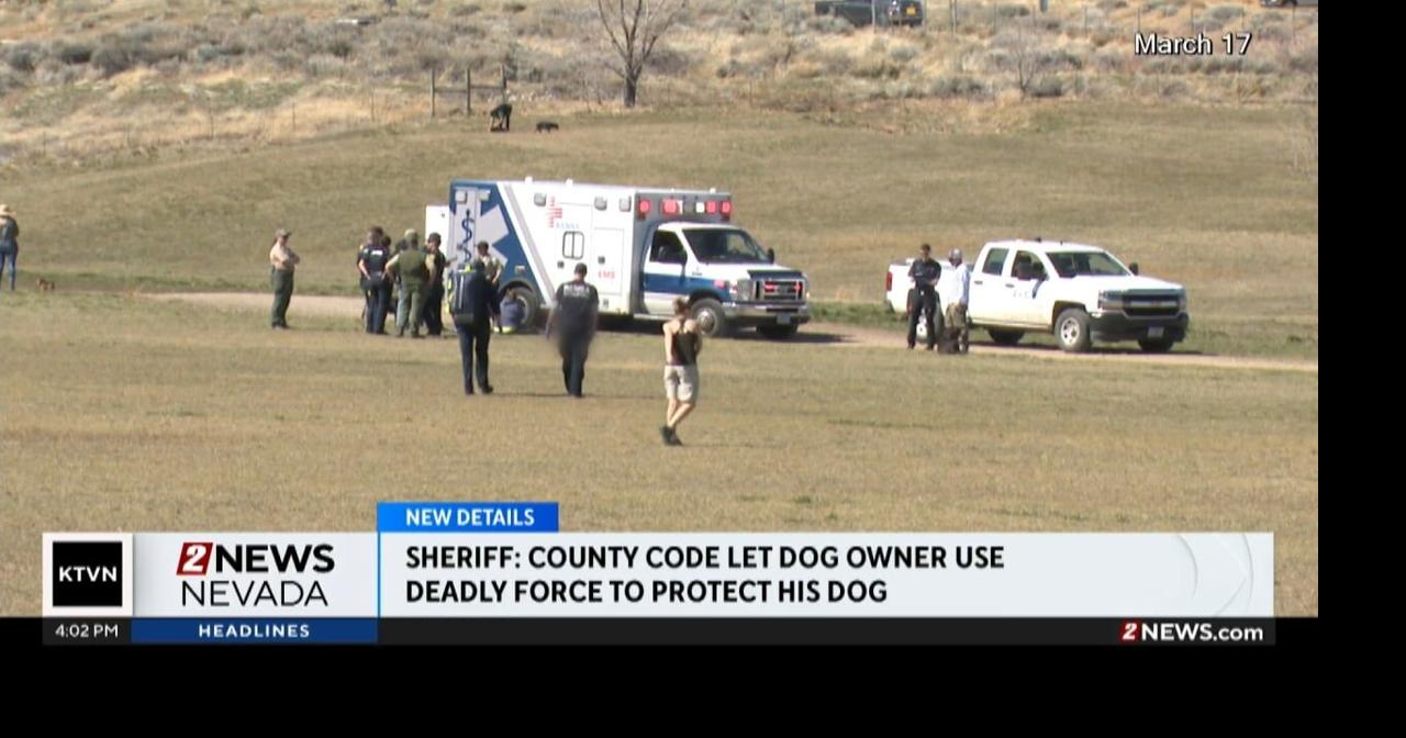 New Details in Dog Shooting | News | 2news.com