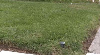 A Healthy Lawn Isn't Just About Water