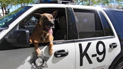Las Vegas Police K-9 Honored at Burial for Bravery, Service