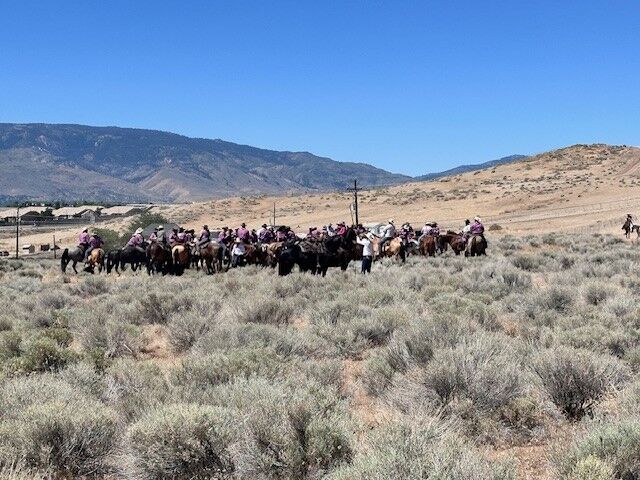 Reno Rodeo 2025 Cattle Drive - final trek to rodeo grounds 14