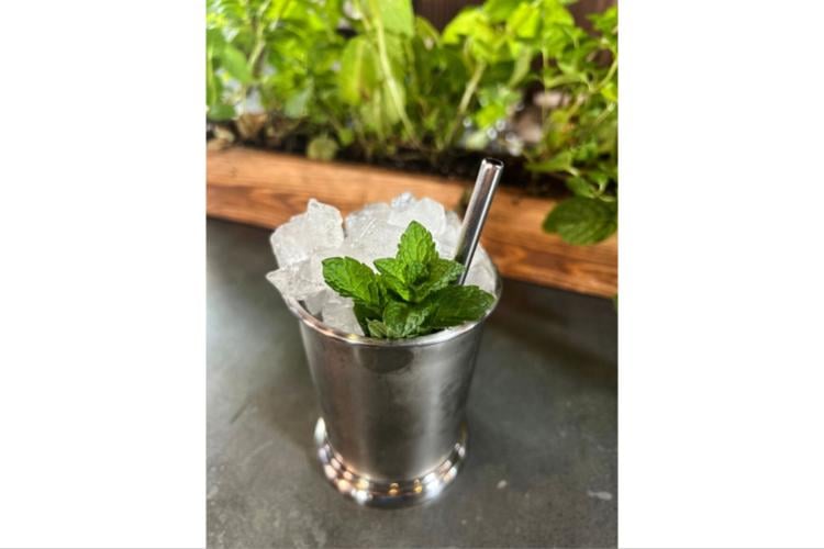 Food-Mint Julep-Cocktails