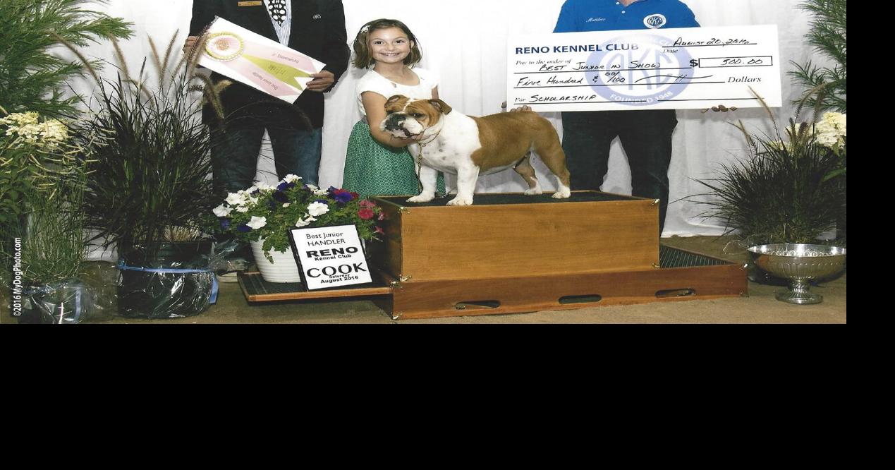 Reno Kennel Club Hosts Annual AllBreed Dog Show in August News