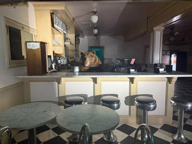 Bear with a sweet tooth found behind the counter at a South Lake Tahoe Ice Cream shop