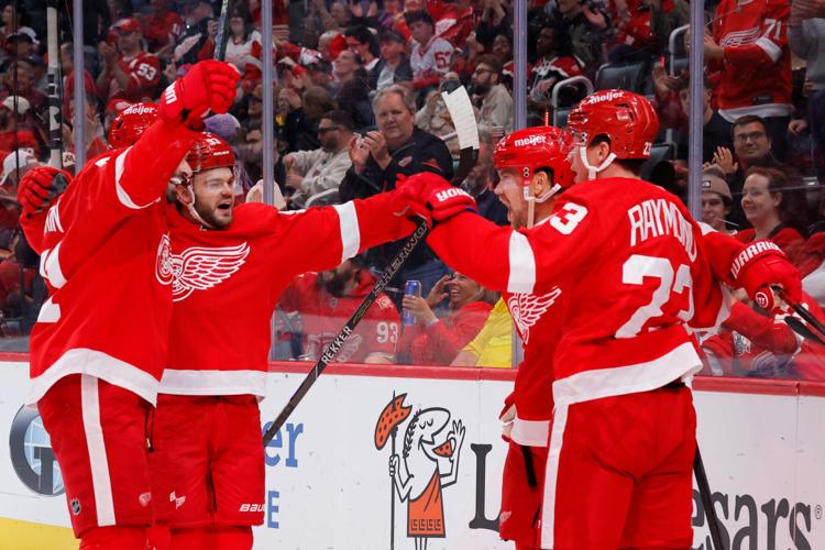 Senators Red Wings Hockey