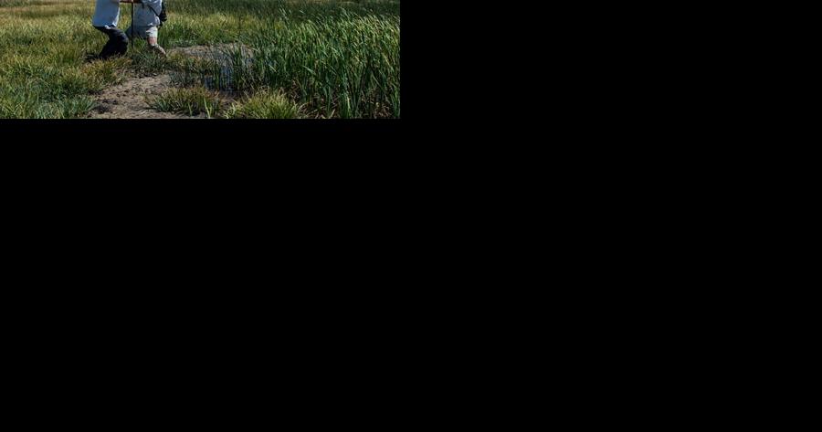 UNR Study: Centuries-long drought in the Great Basin shown to be recurring pattern - Vimarsana News