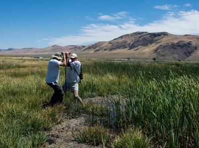 mensing-collecting-core-samples (002).jpg