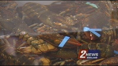 Tahoe Lobster Company Finds Market in Europe