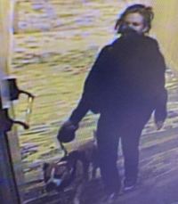 Washoe County Regional Animal Services seeking woman and dog possibly  involved in attack | News 