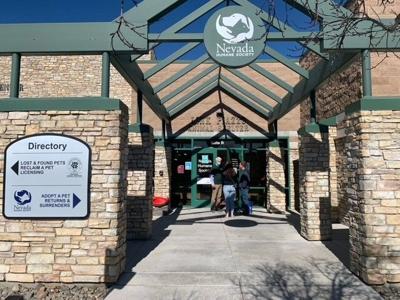 Pet Adoption for Nevada Humane Society 90th Anniversary