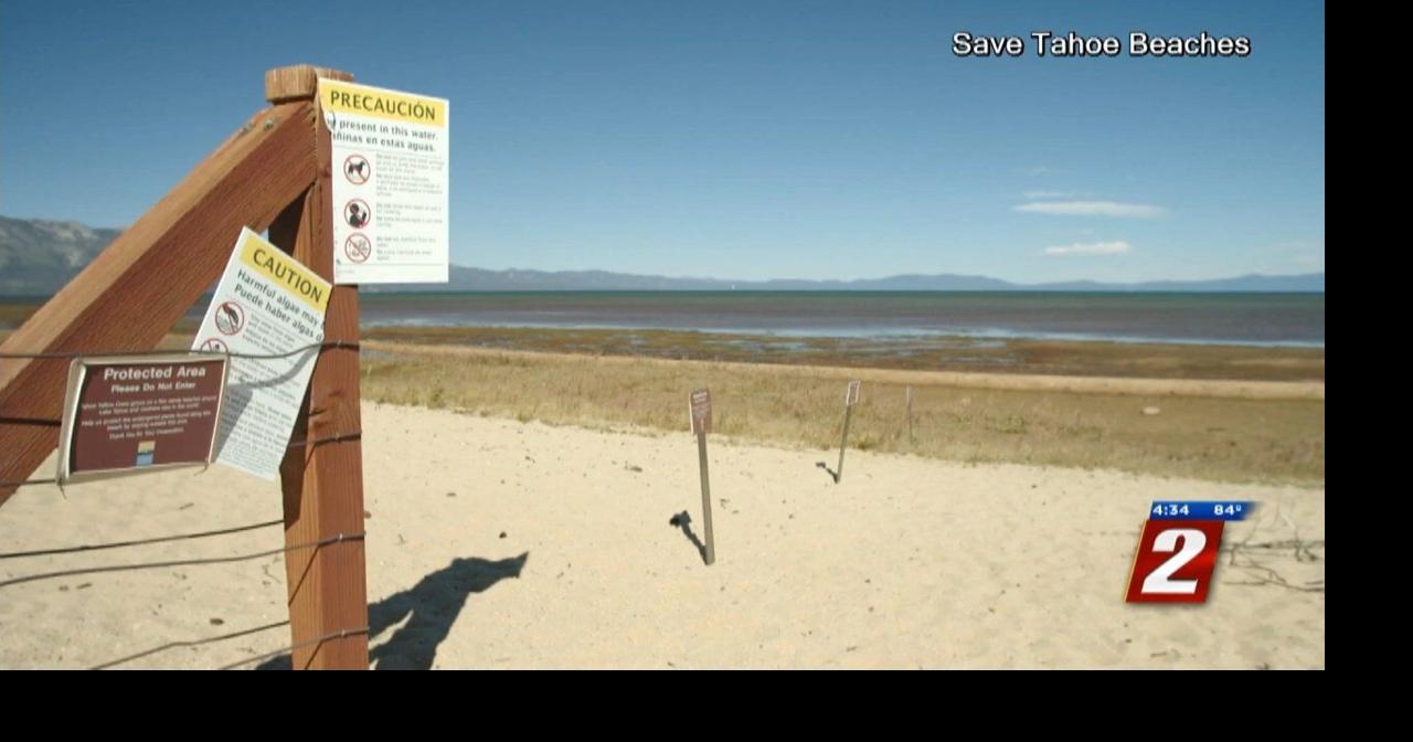 Algae Blooms Affecting Health of Lake Tahoe Local News