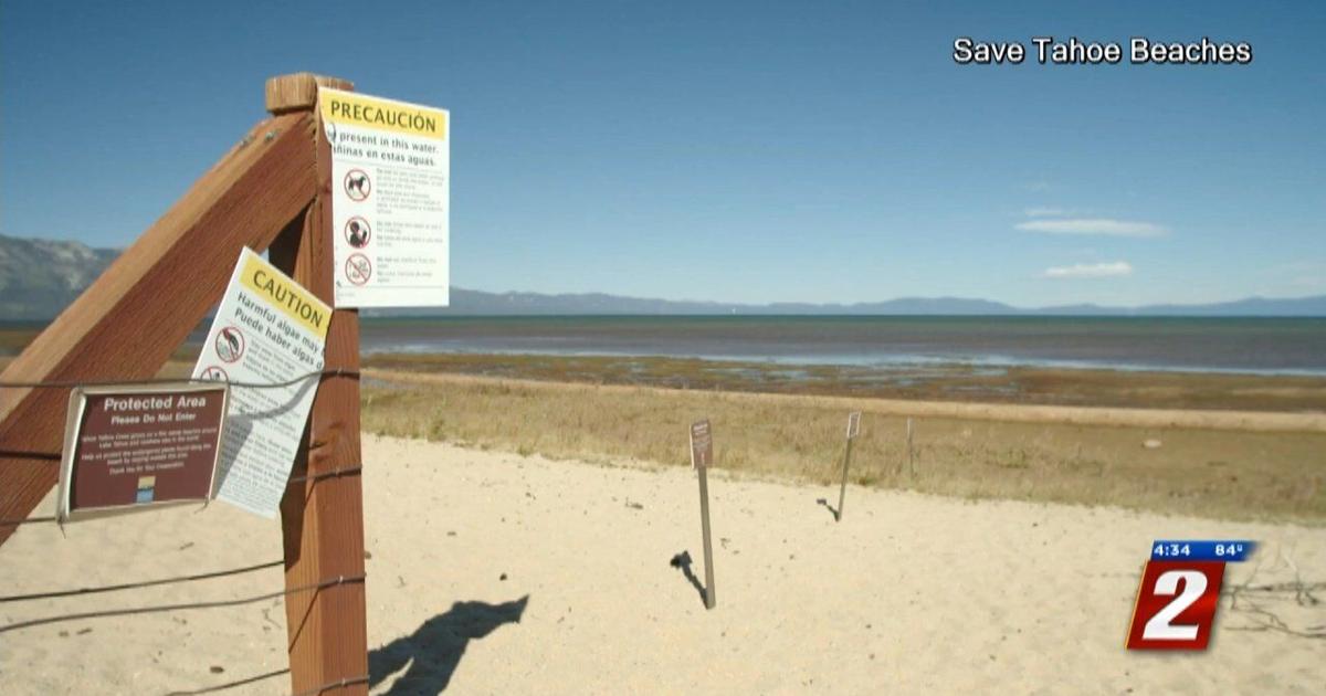 Algae Blooms Affecting Health of Lake Tahoe Local News