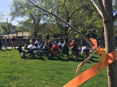 Cities Celebrating Arbor Day