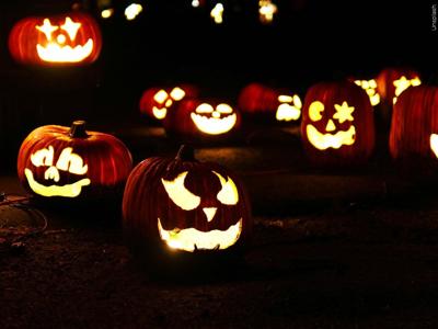 Halloween pumpkins.jpg