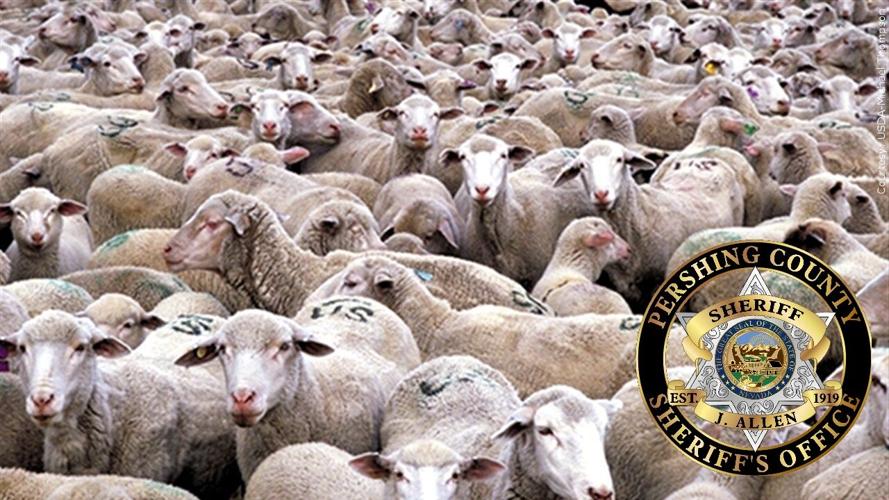 Pershing County Sheriff's Office logo with sheep