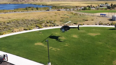 Mosquito abatement - Photo