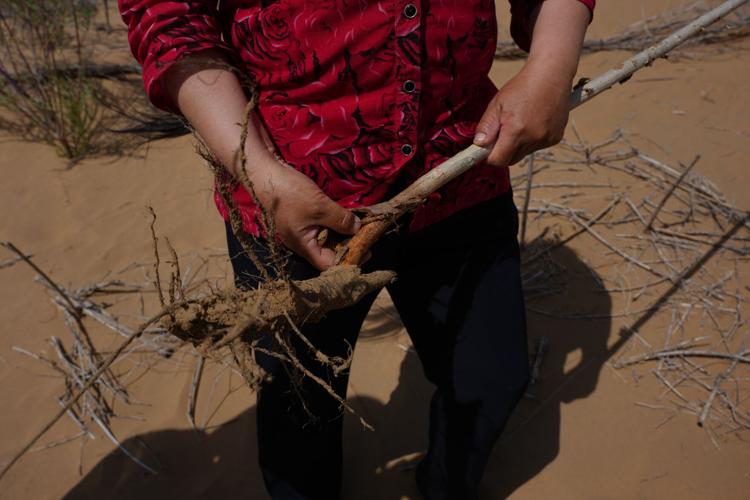 China Desert Control