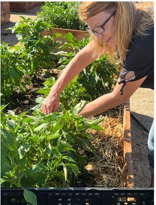 Soulful Seeds garden