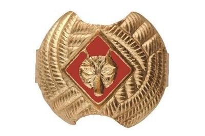 Boy Scouts Recall Neckerchief Slides Due to High Lead Content