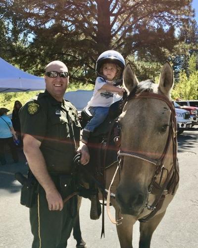 WCSO Police Horse Cloud