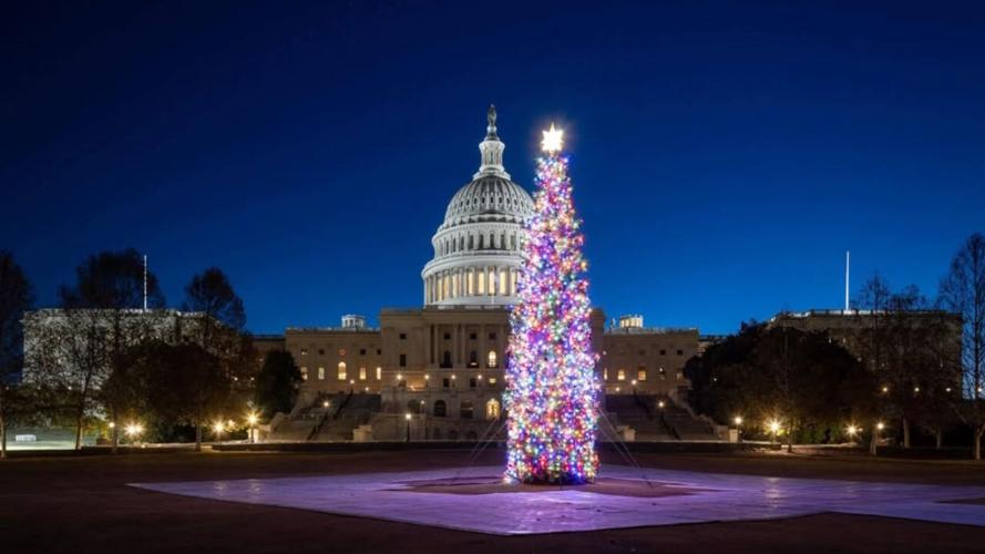 2025 U.S. Capitol Christmas Tree