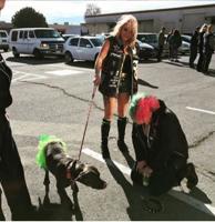 Reno Punk Rock Flea Market Returns to the Generator, Helps Local Artists