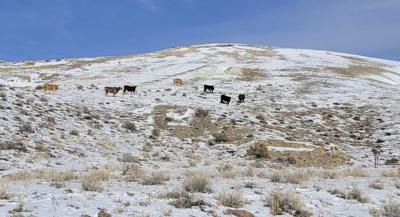 Proposed Lithium Project in Esmeralda County