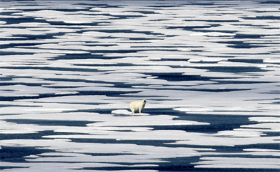 Leaders to UN: If Virus Doesn't Kill Us, Climate Change Will
