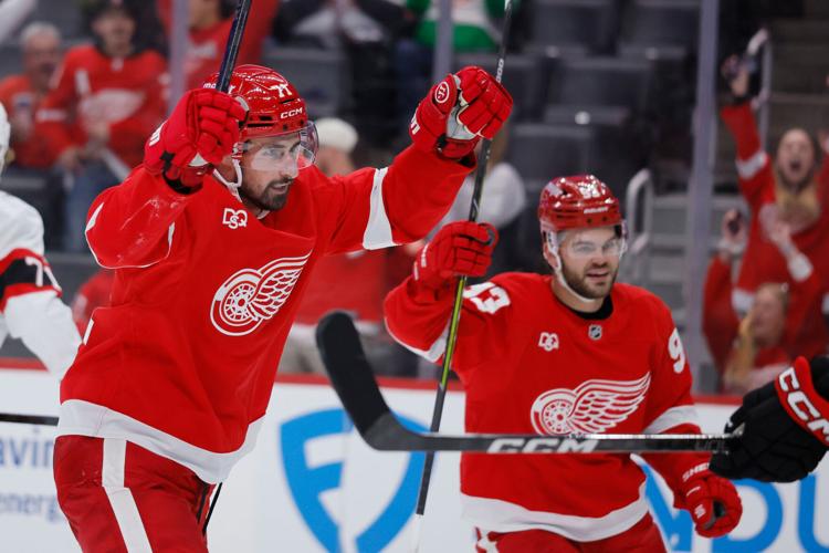 Senators Red Wings Hockey
