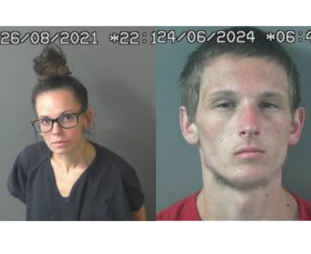Car Burglary Arrests