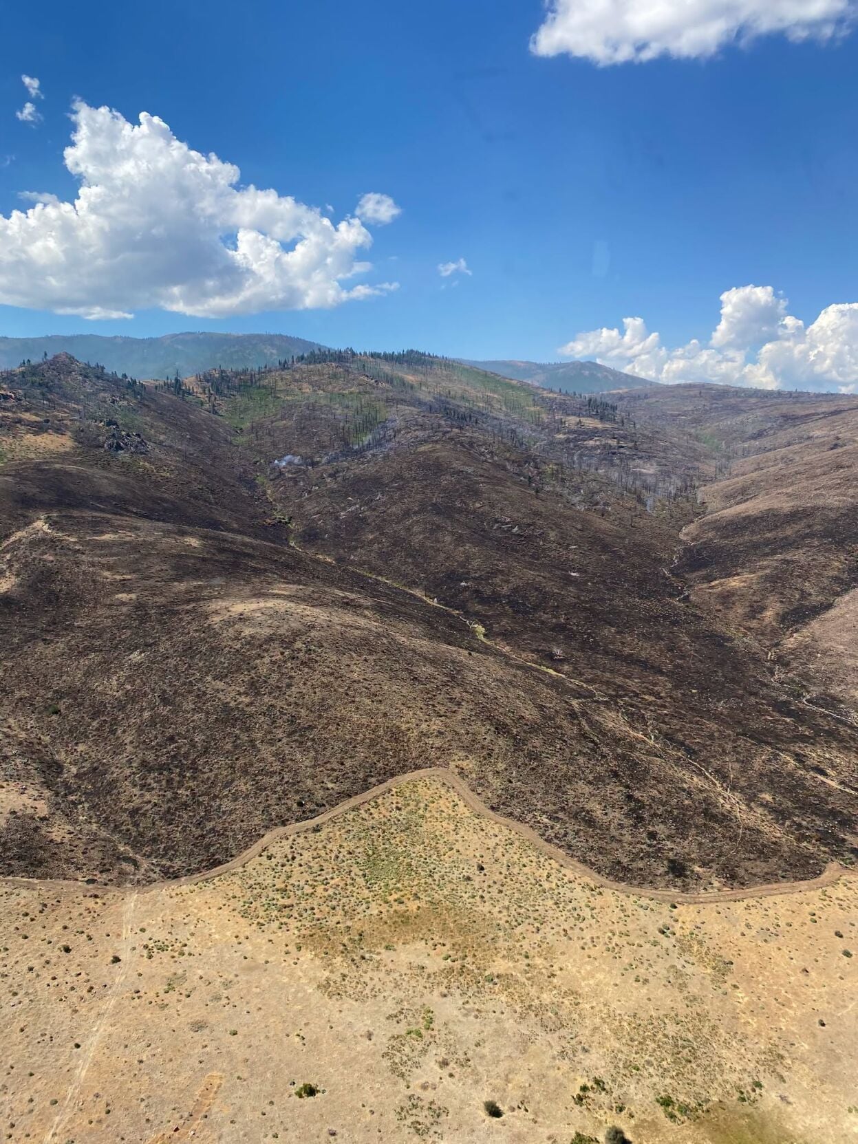Elephant Fire NF 3.jpeg