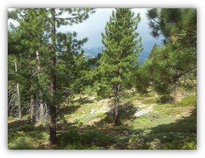 LTBMU High Meadows Acq Aug-2021 A (002).jpg