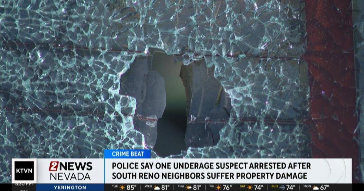 Reno Police arrest one underage suspect for property damage in South ...
