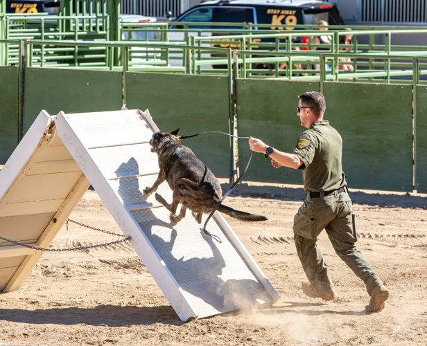k9 event carson.PNG