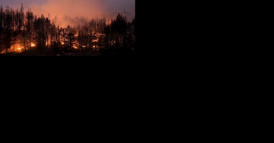$20 million coming to Nevada System of Higher Education to create wildfire prevention program - Vimarsana News