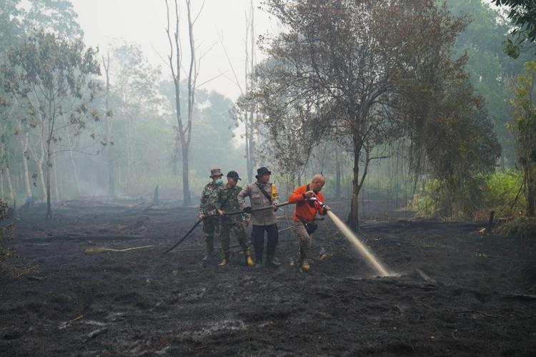 Climate Heat Deaths El Nino