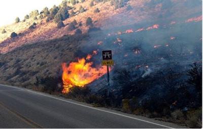 Forest Service Reopening Lamoille Canyon Road After Wildfire