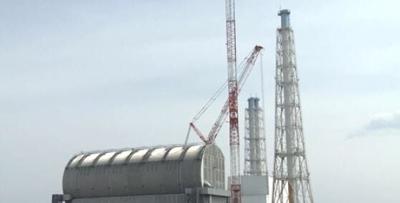 Removal of Fuel in Pool at Fukushima's Melted Reactor Begins