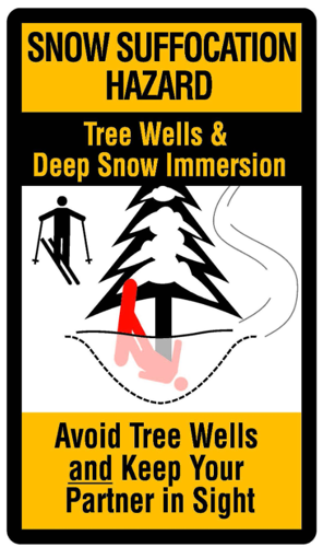 Tree Well Safety