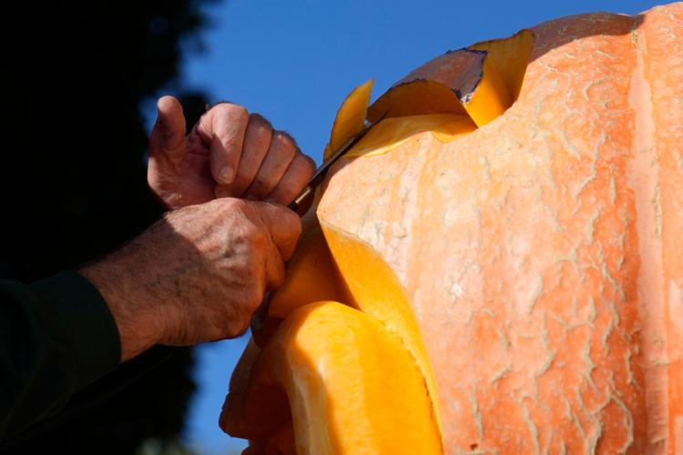 Picasso Pumpkin Carver