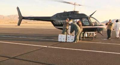 Washoe County Prepares for Mosquito Season