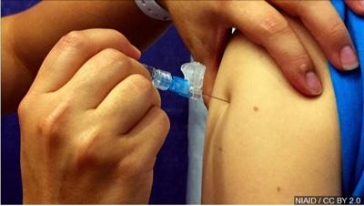 Family Health Festival