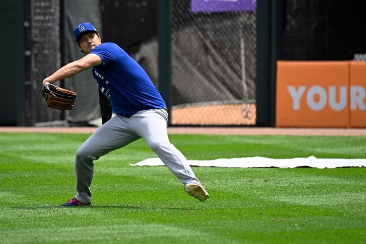Dodgers White Sox Baseball