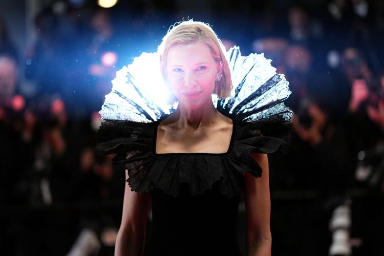 France Cannes 2026 Paper Tiger Red Carpet