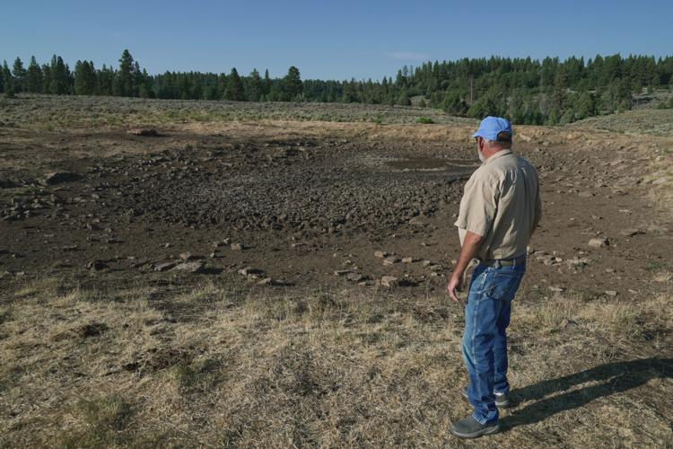 Climate Rancher Drought