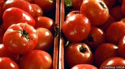Mexico Says Tariffs Will Send Tomato Prices Soaring in U.S.