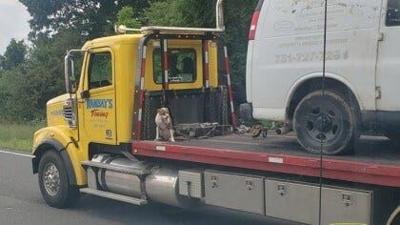 Photo Of Dog Tied Up On Tow Truck's Flatbed Sparks Outrage